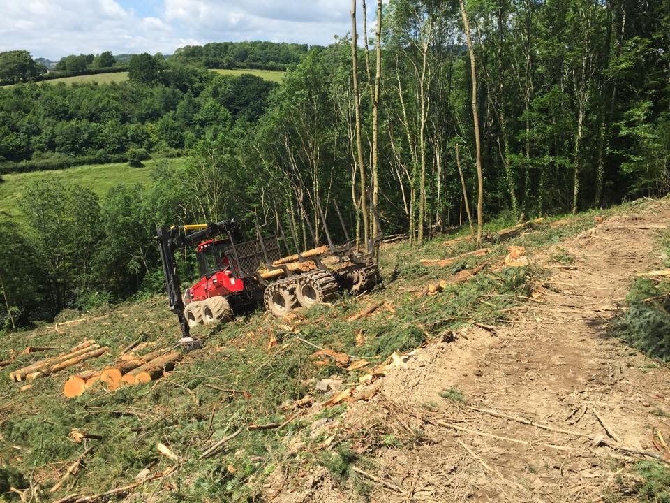 Steep harvesting with Weeks Forestry in Devon