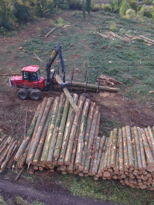 Piling the logs from a clearfell project