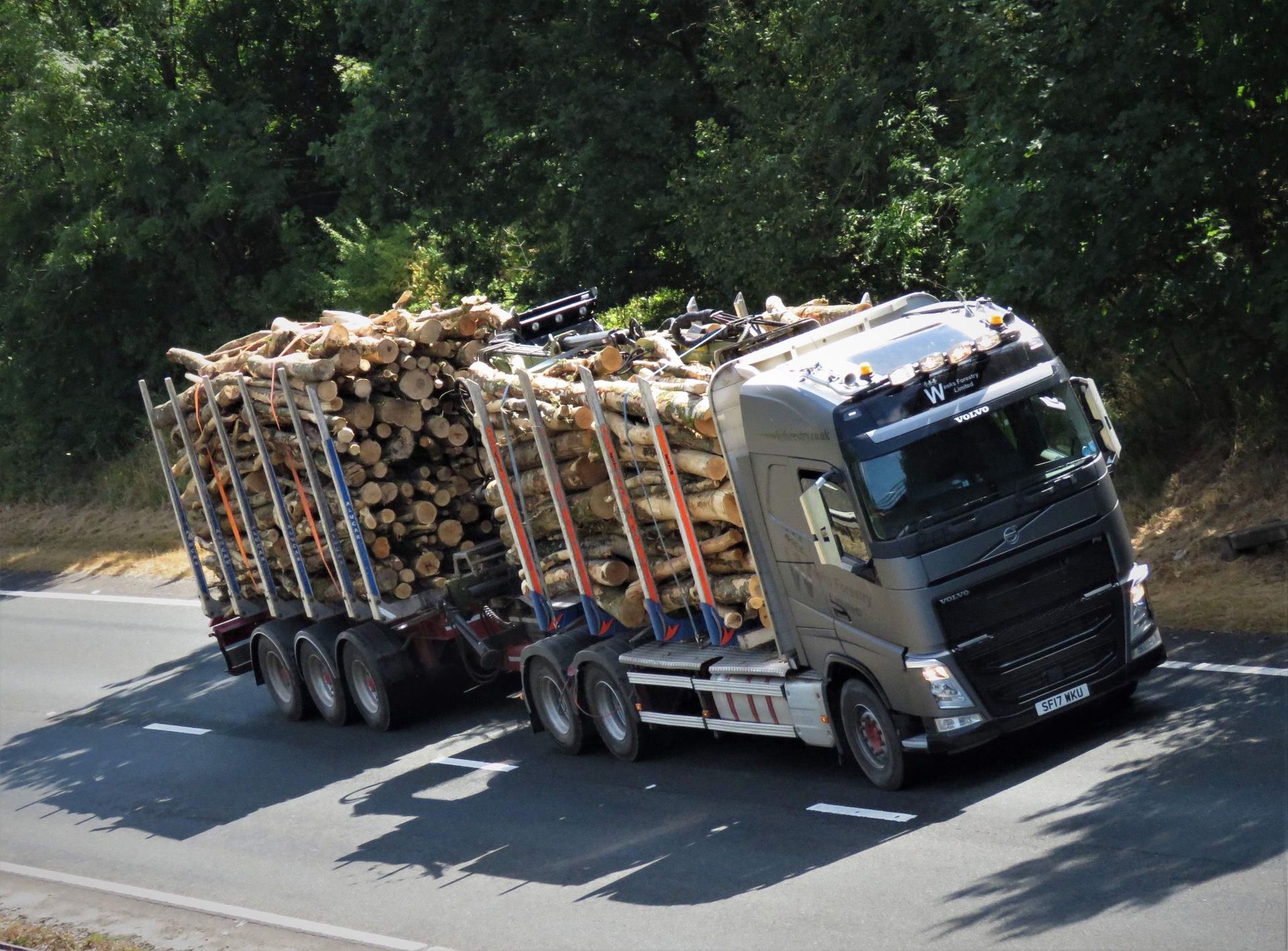 timber haulage devon