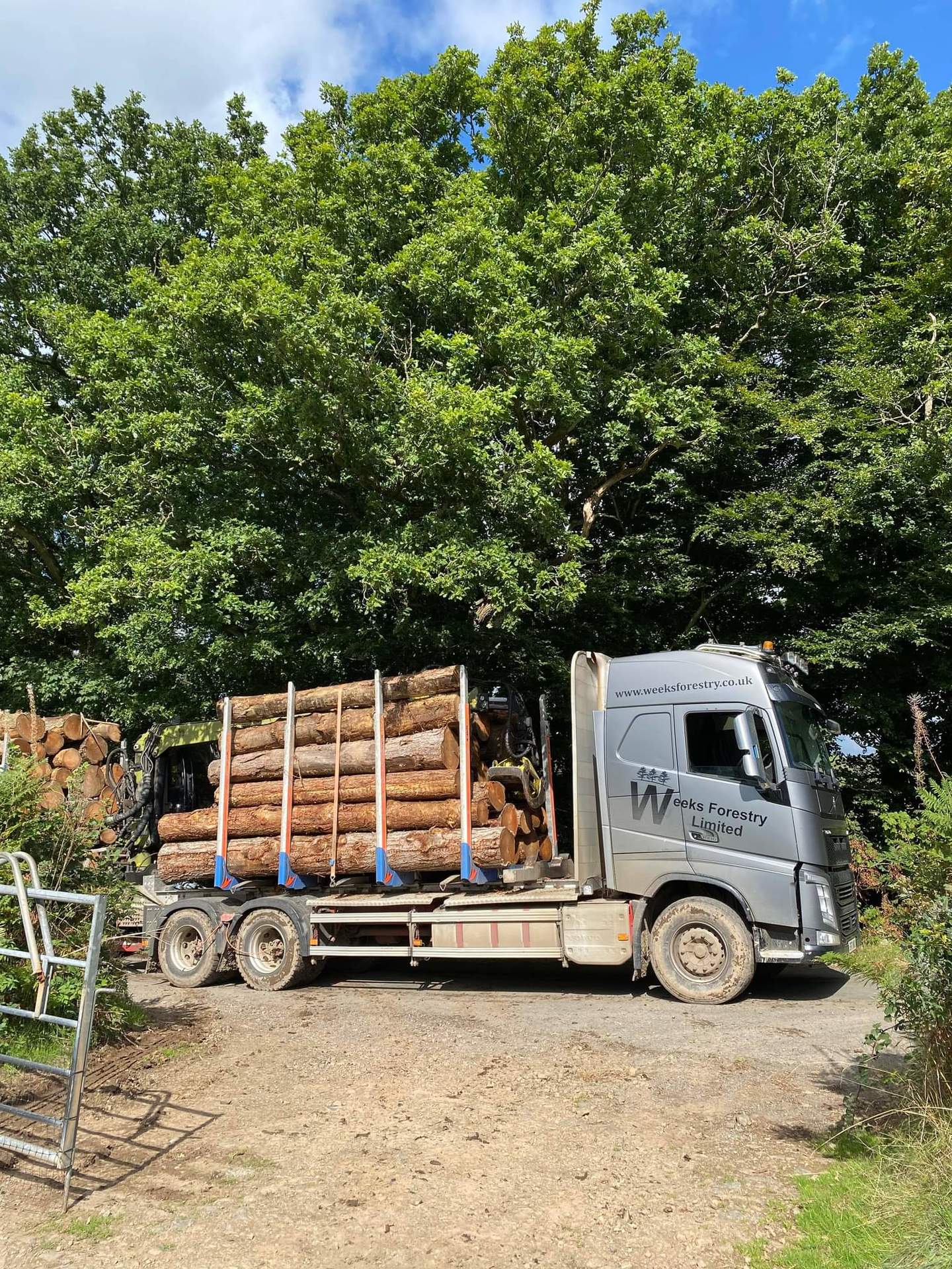 Timber haulage