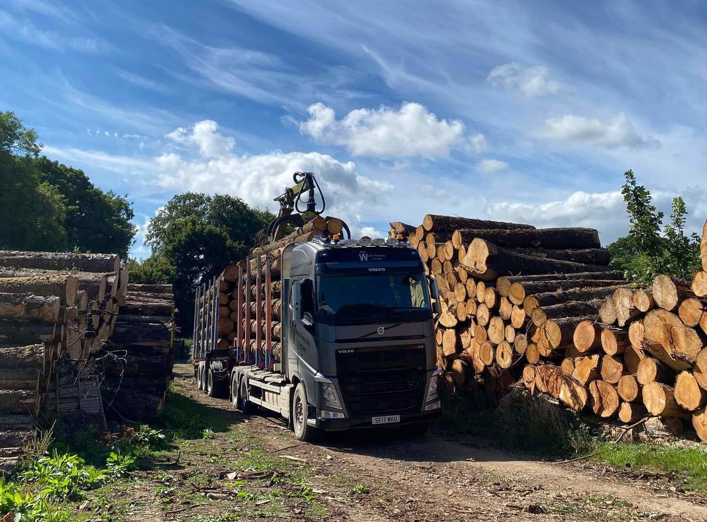 Purchasing Timber in North Devon