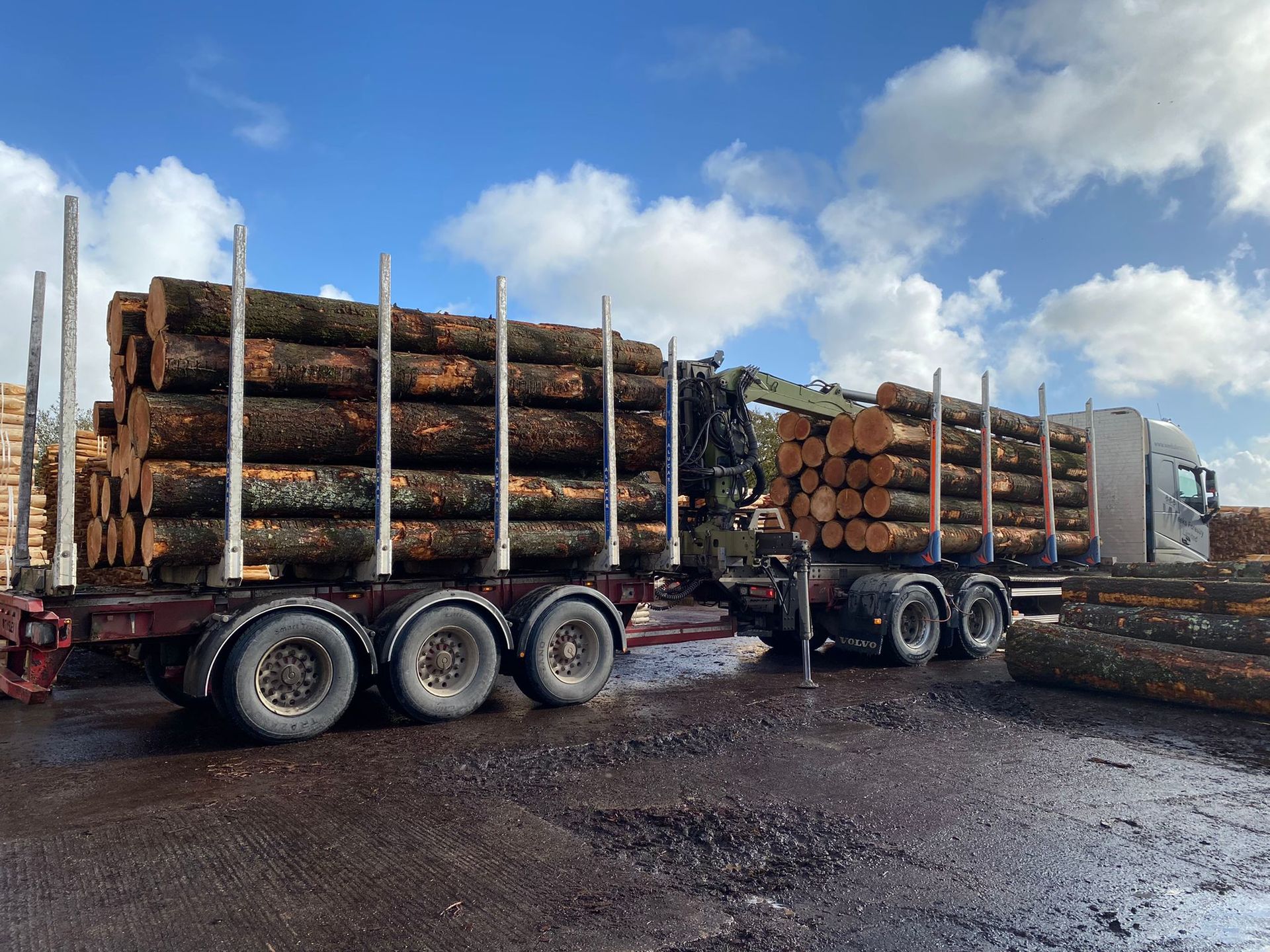 timber haulage lorry trailer