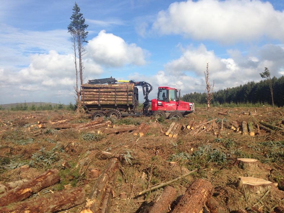Clearfell services provided by Weeks Forestry