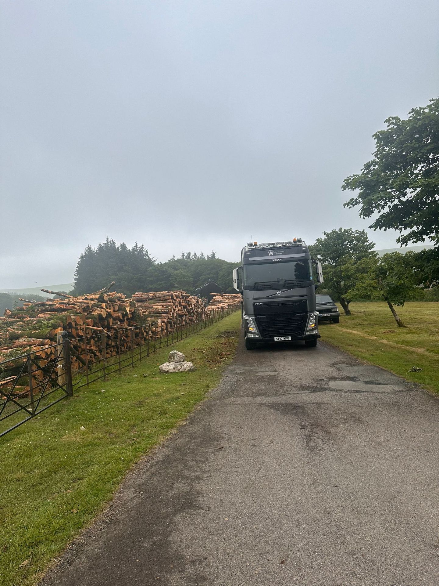 Volvo FH timber haulage