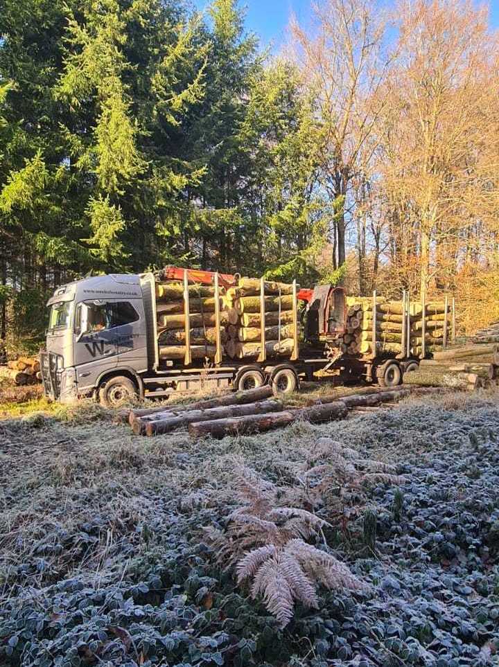 frosty devon timber haulage