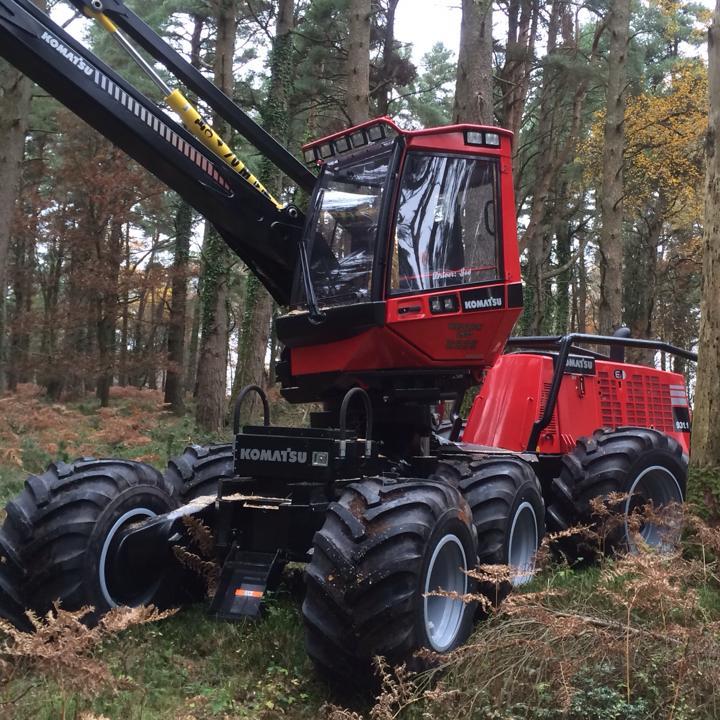 Forestry services provided by Weeks Forestry throughout Devon