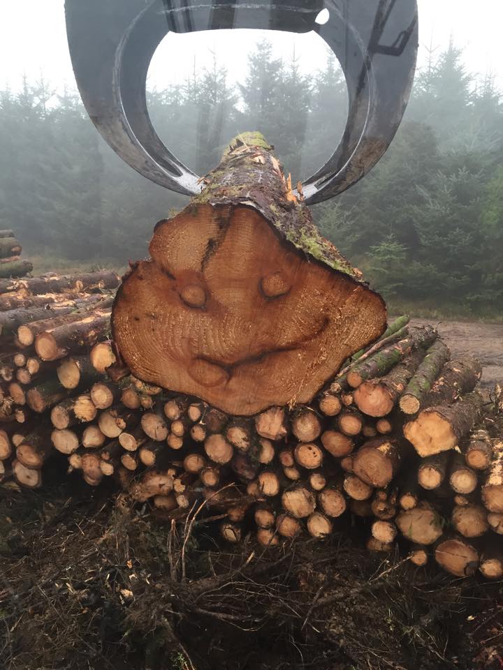 Smile! Weeks Forestry in Action